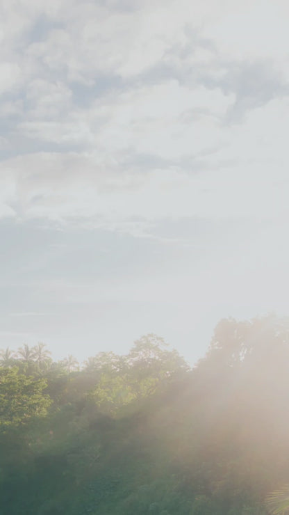 Herbal grey hair spray make hair black from roots